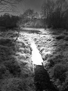 Winters Landscape in the Scottish Highlands In Black and White 